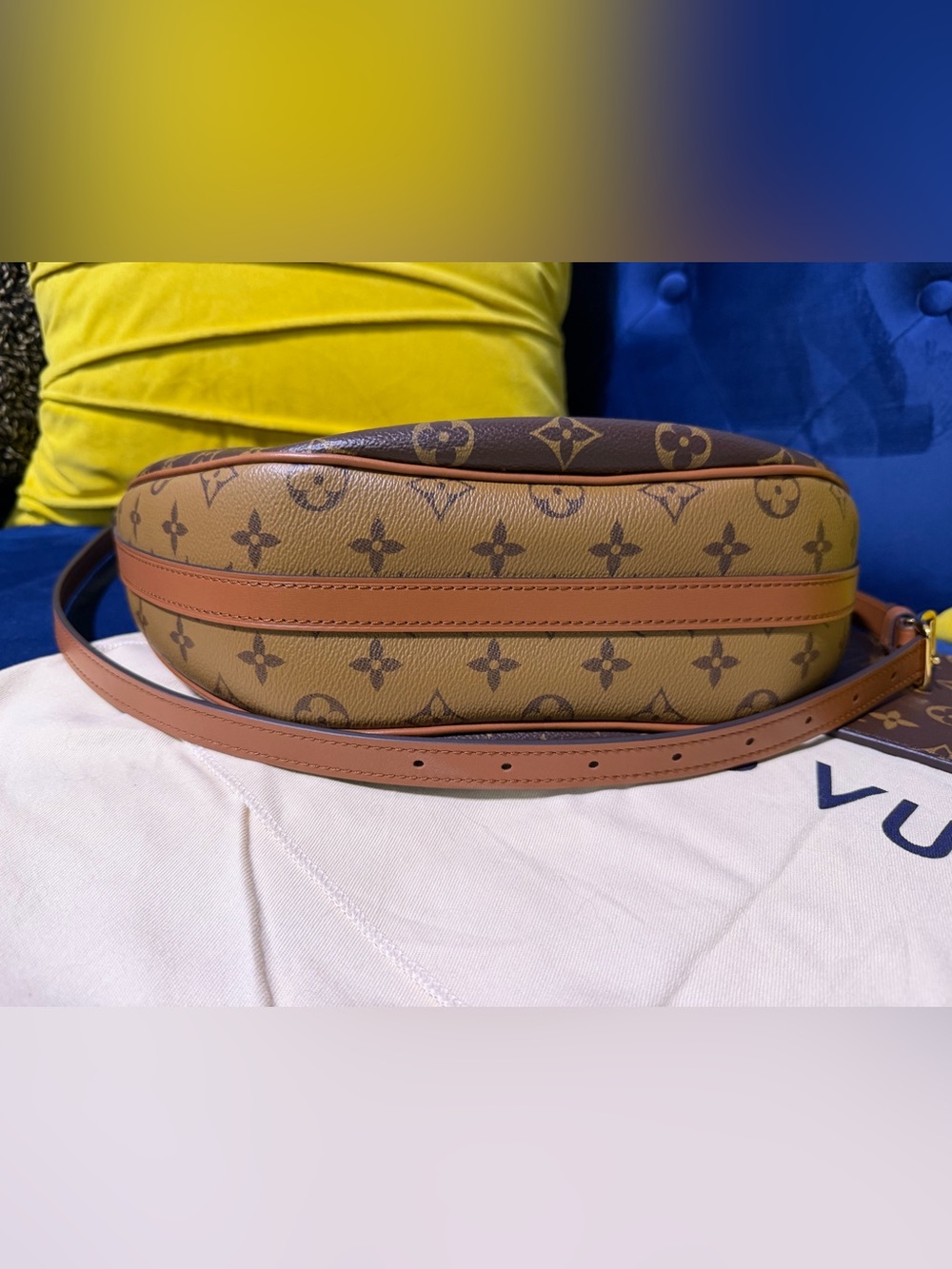 Louis Vuitton Loop Hobo in Monogram - Picture 14 of 16